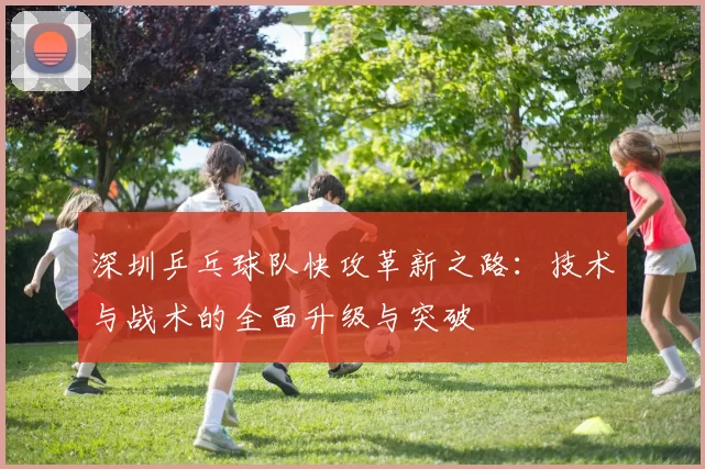 深圳乒乓球队快攻革新之路：技术与战术的全面升级与突破