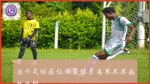 当今足坛在位明星球员名单及其成就分析