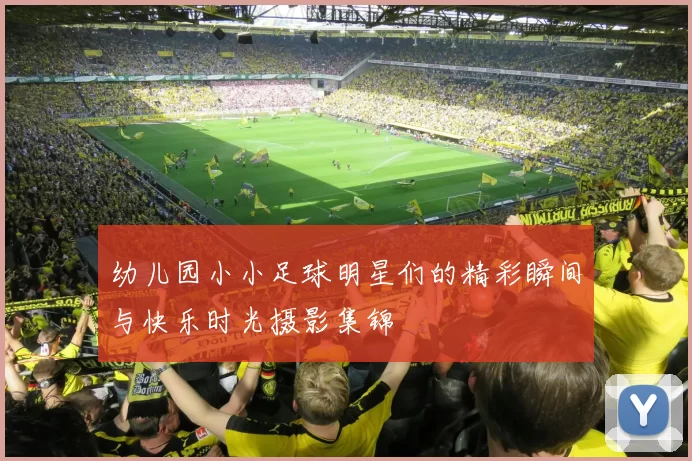 幼儿园小小足球明星们的精彩瞬间与快乐时光摄影集锦