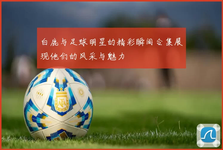 白鹿与足球明星的精彩瞬间合集展现他们的风采与魅力