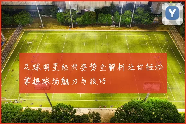 足球明星经典姿势全解析让你轻松掌握球场魅力与技巧