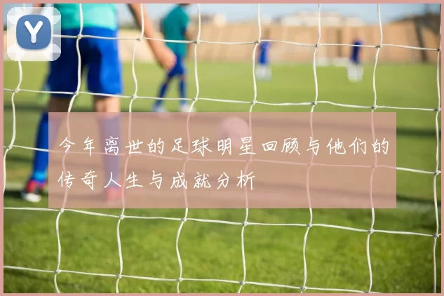今年离世的足球明星回顾与他们的传奇人生与成就分析