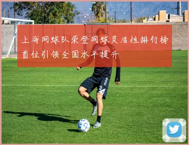 上海网球队荣登网球灵活性排行榜首位引领全国水平提升