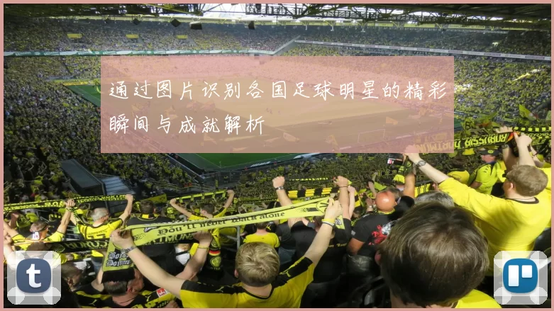 通过图片识别各国足球明星的精彩瞬间与成就解析