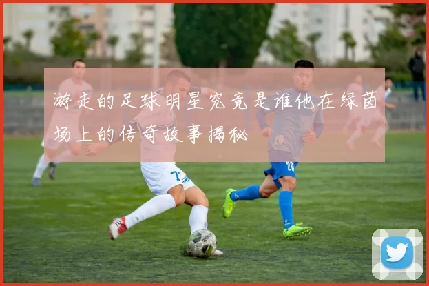 游走的足球明星究竟是谁他在绿茵场上的传奇故事揭秘