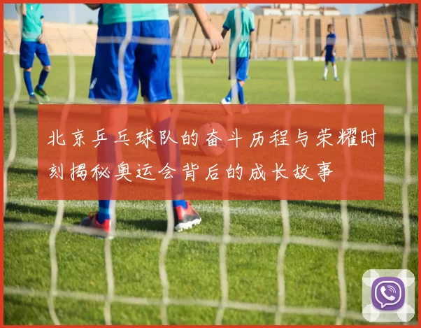 北京乒乓球队的奋斗历程与荣耀时刻揭秘奥运会背后的成长故事